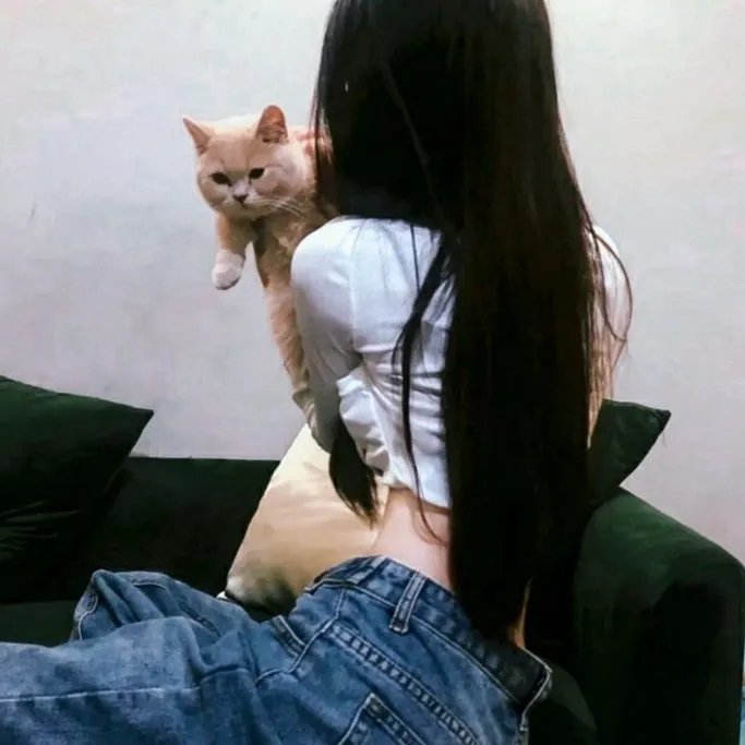 狼少女与黑王子2014